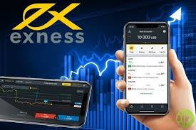 Comprehensive Guide to the Exness web platform