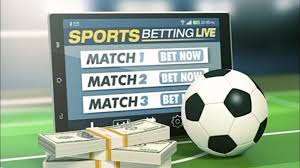 Discover the Thrills of Bongobongo Bet Discover the Thrills of Bongobongo Bet