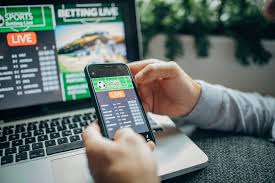 Your favorite casino providers in a Dynamic Gaming World Your favorite casino providers in a Dynamic Gaming World