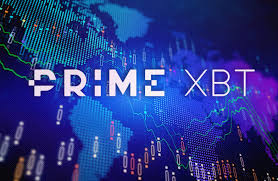 Mastering the Market A Deep Dive into PrimeXBT Live Trading